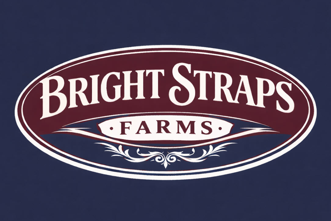 Equine Business Branding | Burgundy & Navy Blue Halter for Horses | Two Band | Original Handmade Design