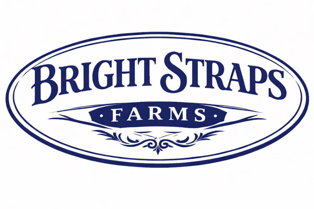 Equine Business Branding | Navy Blue & White Halter for Horses | Two Band | Original Handmade Design
