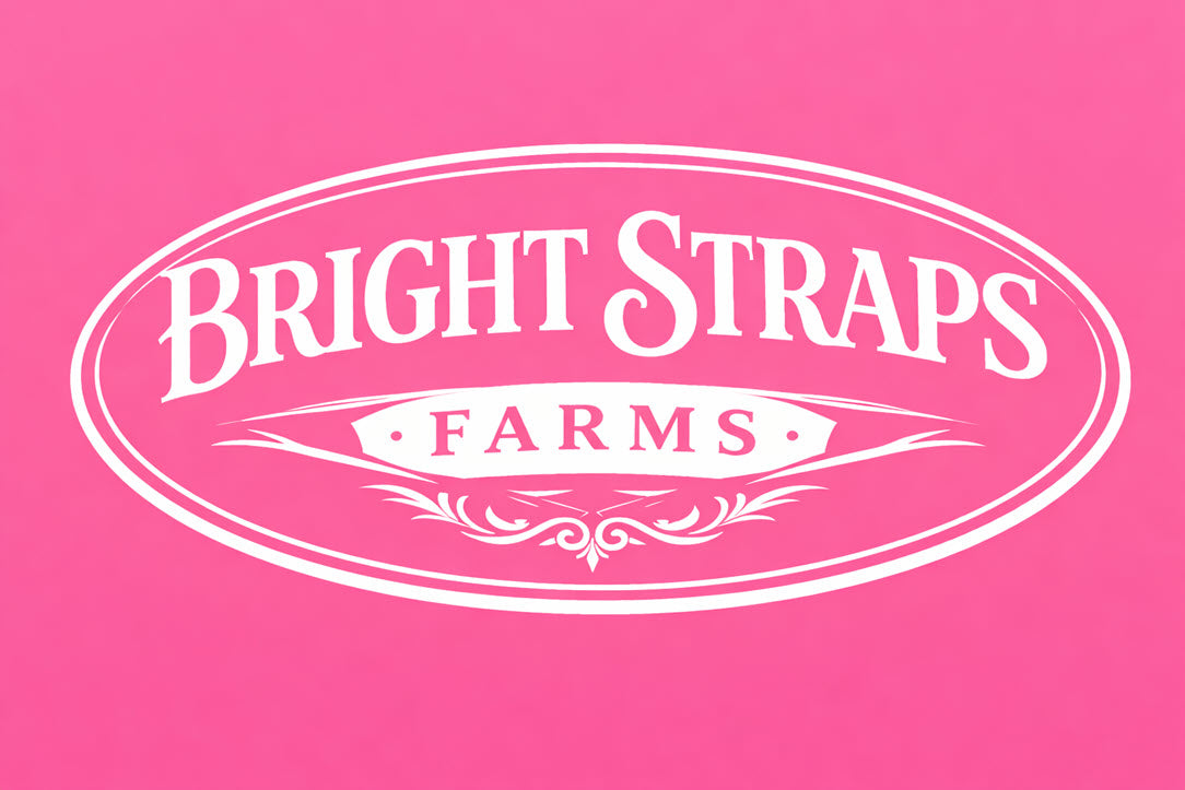 Equine Business Branding | Pink & White Halter for Horses | Two Band | Original Handmade Design