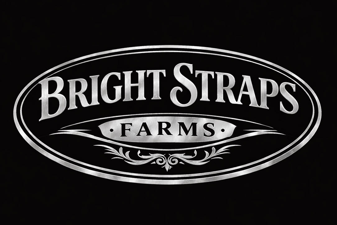 Equine Business Branding | Silver & Black Halter for Horses | Two Band | Original Handmade Design