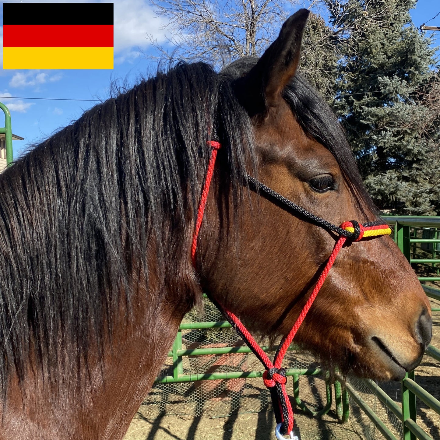 Germany Flag Colors - Black, Red & Yellow Rope Halter for Horses | Original Handmade Design