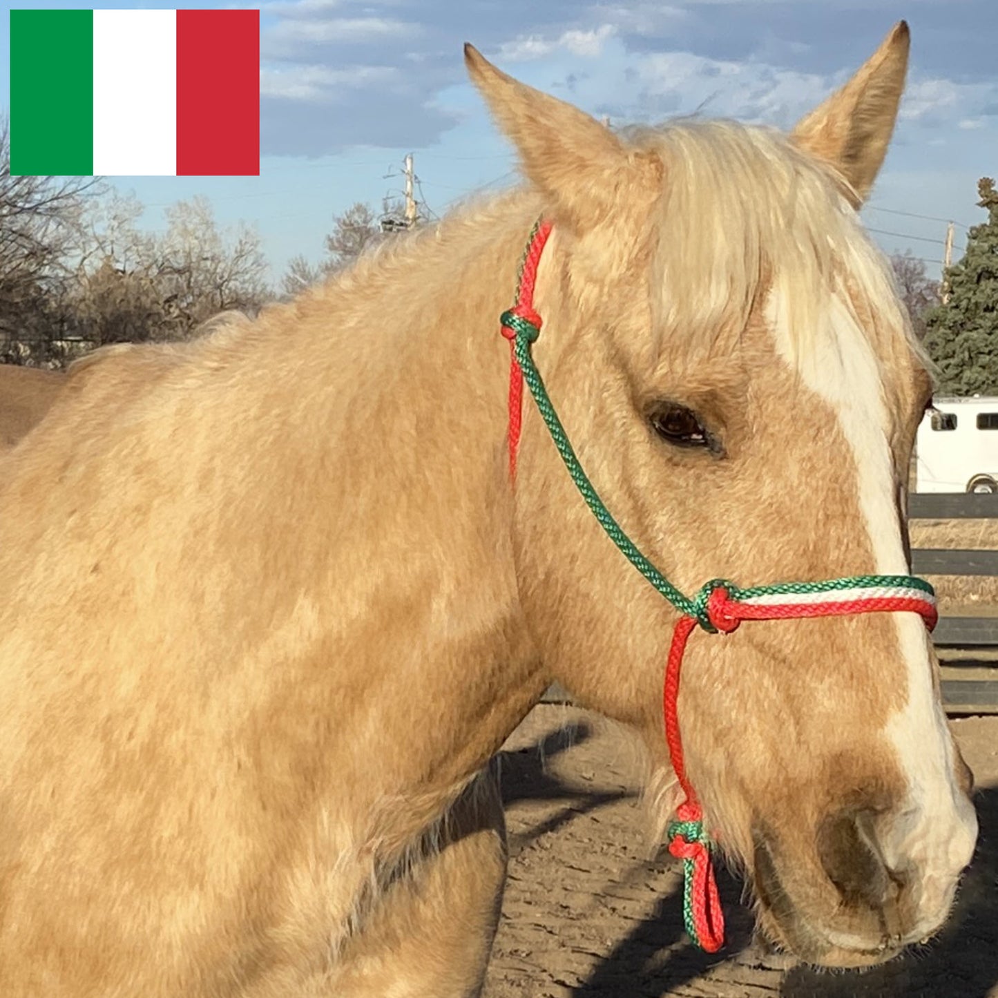 Italy Flag Colors - Green, White & Red Rope Halter for Horses | Original Handmade Design