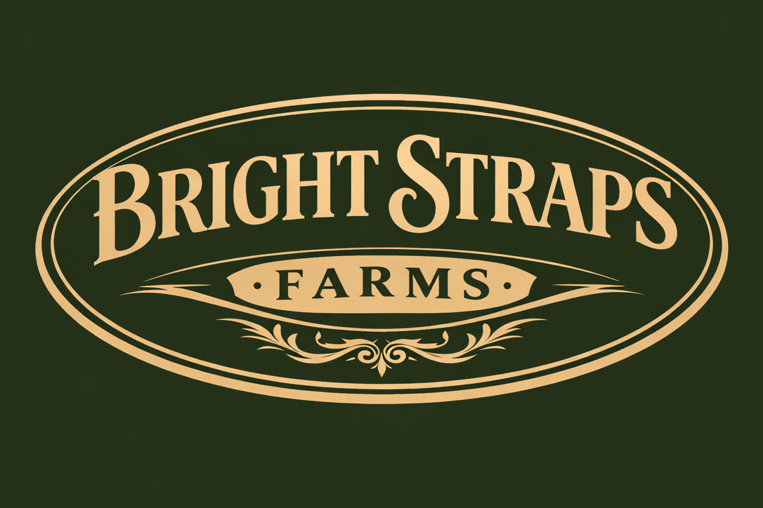Equine Business Branding | Forest Green & Mid-Tan Halter for Horses | Two Band | Original Handmade Design