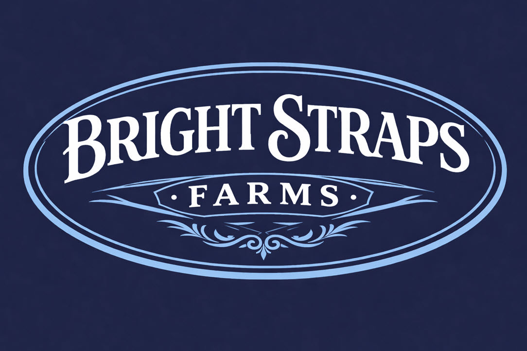 Equine Business Branding | Sky Blue & Navy Blue Halter for Horses | Two Band | Original Handmade Design