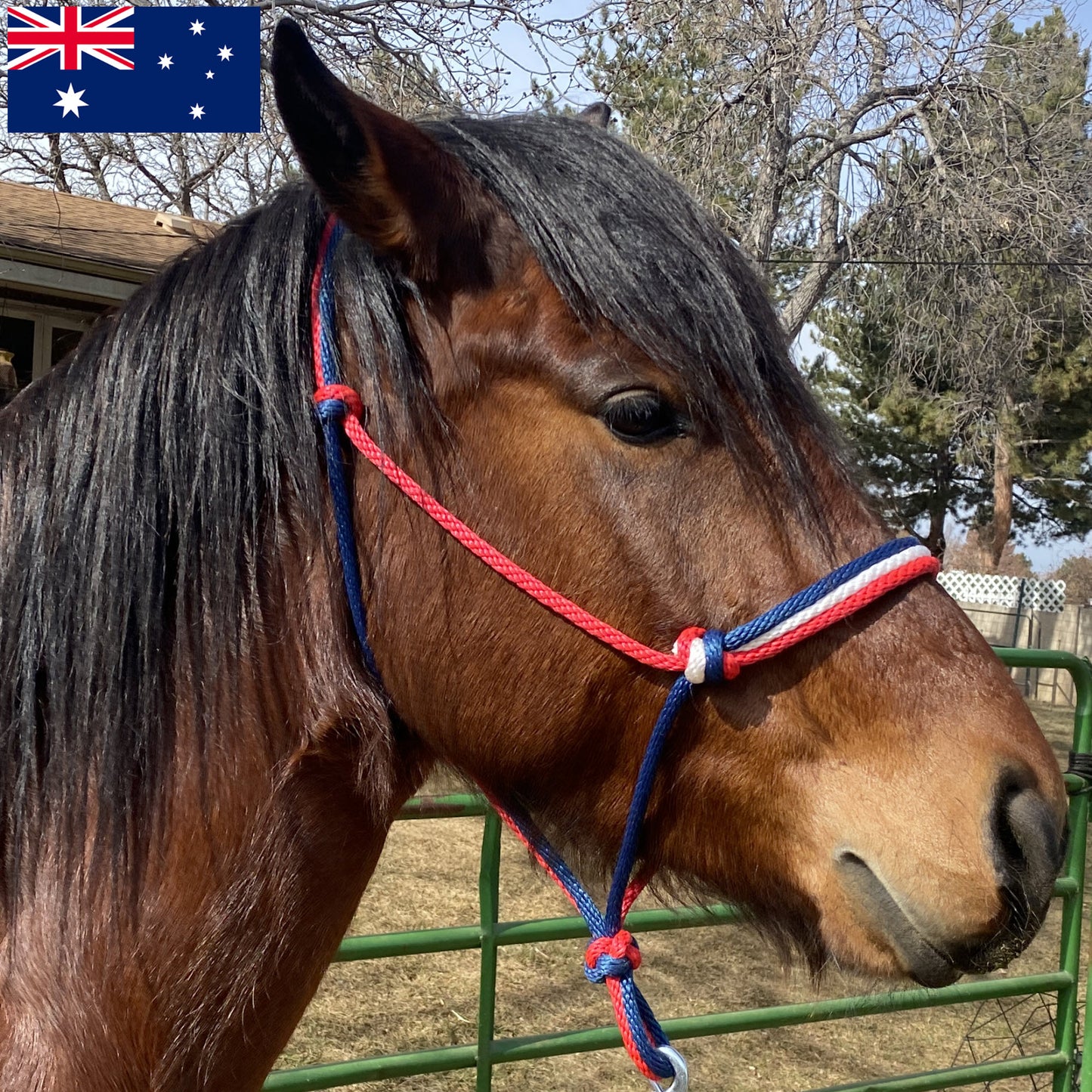 Australia Flag Colors - Navy Blue, White & Red Rope Halter for Horses | Original Handmade Design