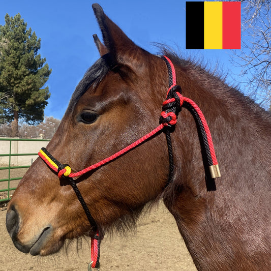 Belgium Flag Colors - Black, Yellow & Red Rope Halter for Horses | Original Handmade Design