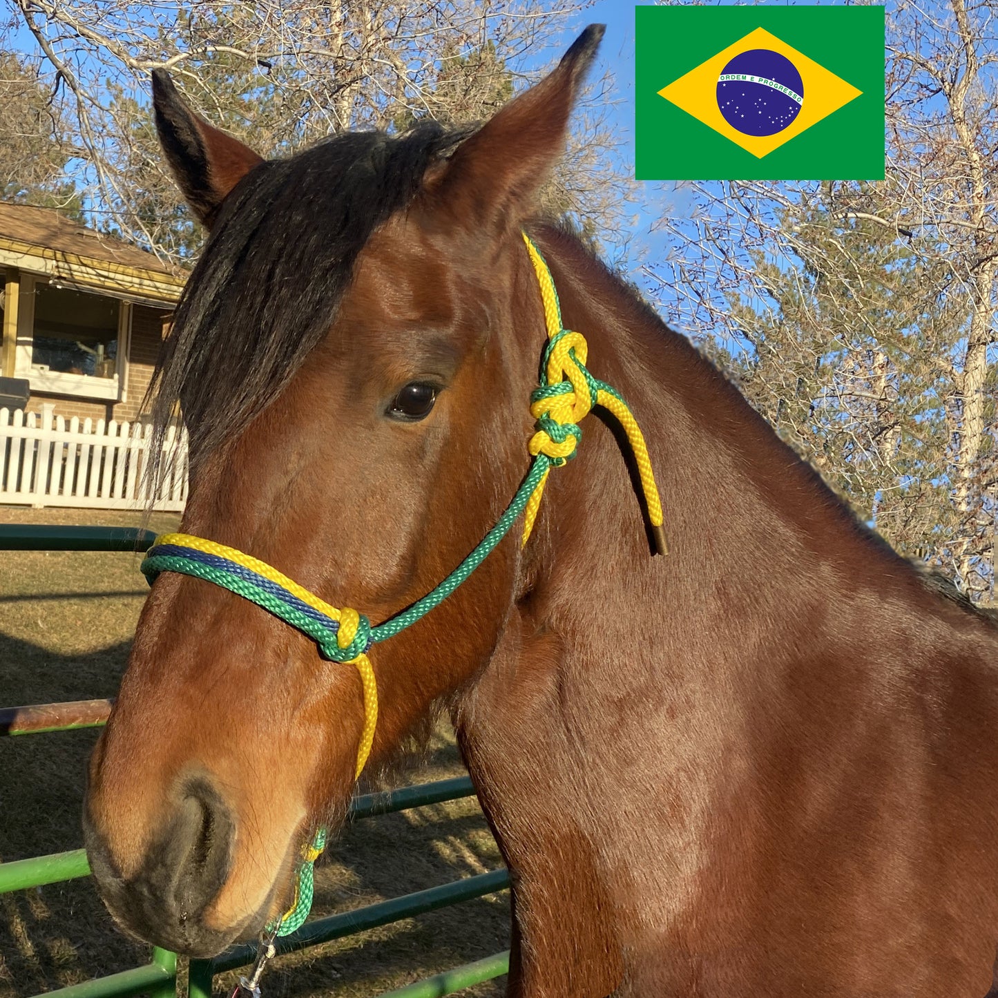 Brazil Flag Colors - Green, Yellow & Navy Blue Rope Halter for Horses | Original Handmade Design