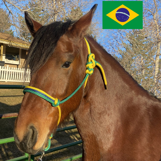 Brazil Flag Colors - Green, Yellow & Navy Blue Rope Halter for Horses | Original Handmade Design