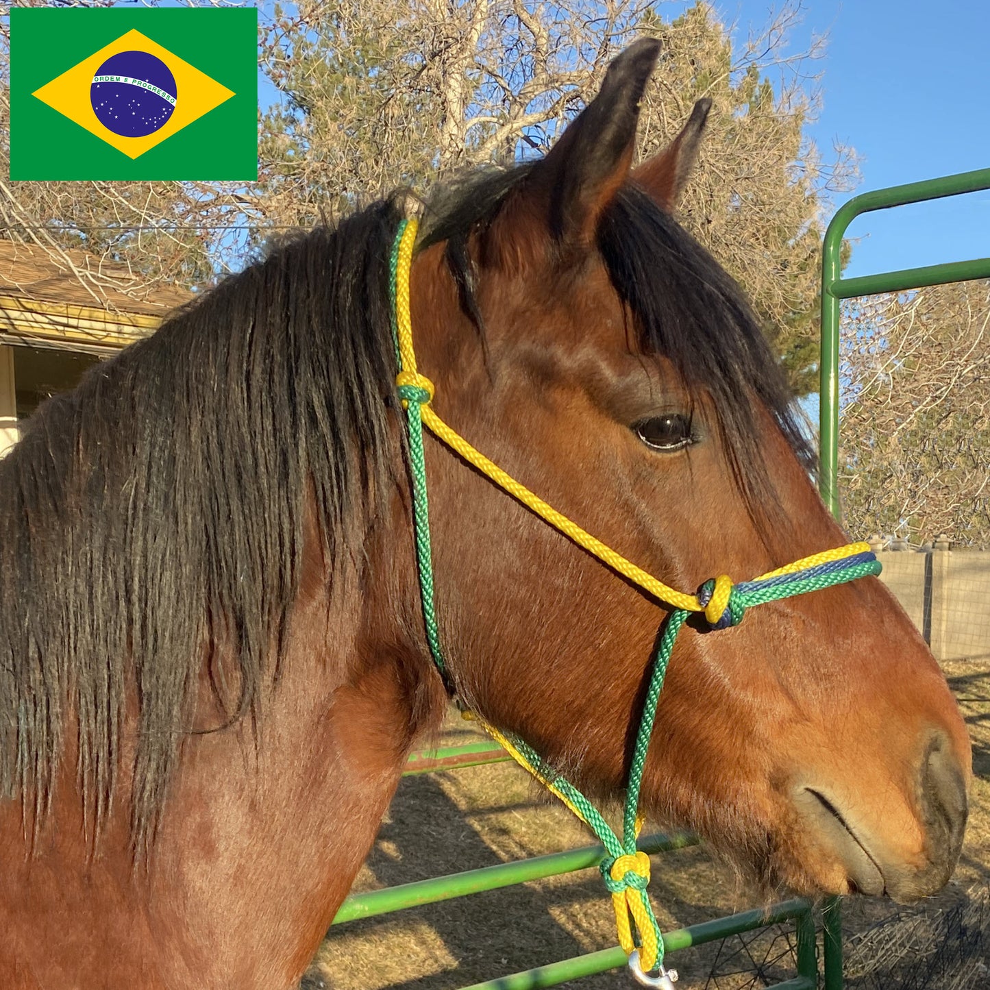 Brazil Flag Colors - Green, Yellow & Navy Blue Rope Halter for Horses | Original Handmade Design