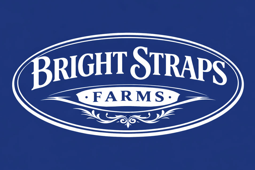 Equine Business Branding | Royal Blue & White Halter for Horses | Two Band | Original Handmade Design