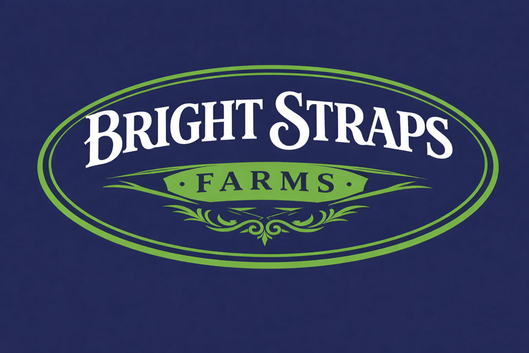 Equine Business Branding | Green & Navy Blue Halter for Horses | Two Band | Original Handmade Design