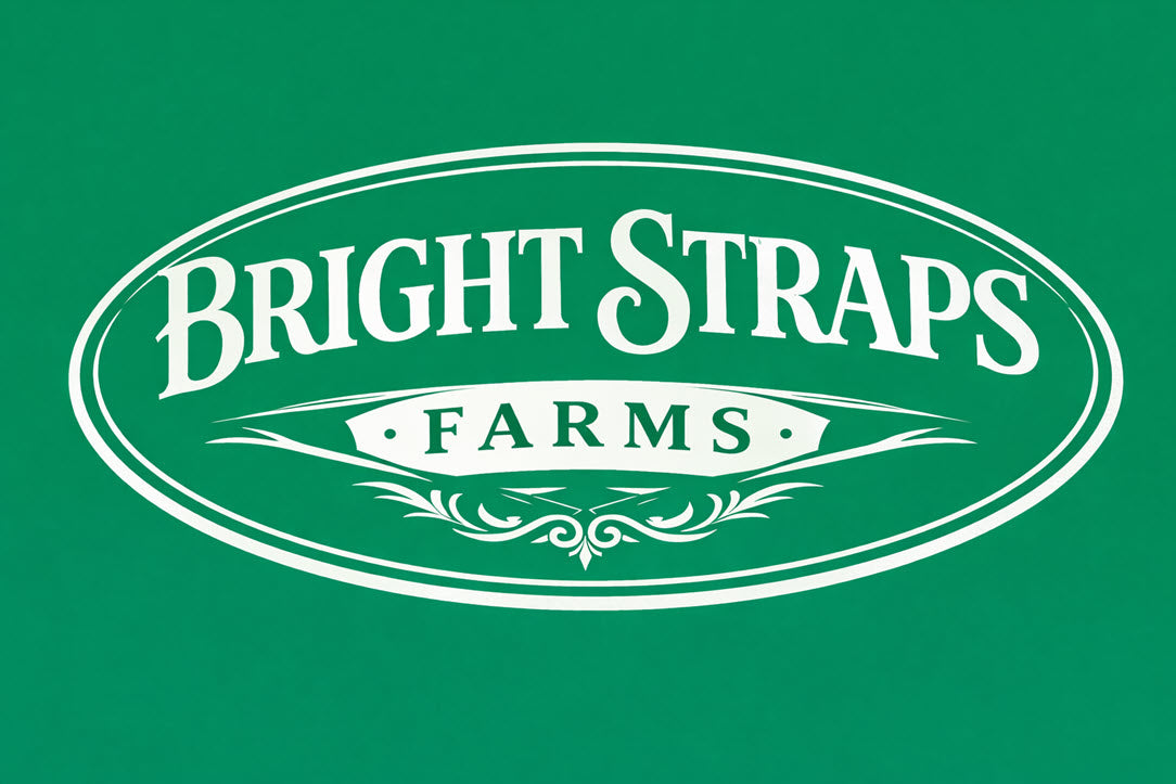 Equine Business Branding | Green & White Halter for Horses | Two Band | Original Handmade Design