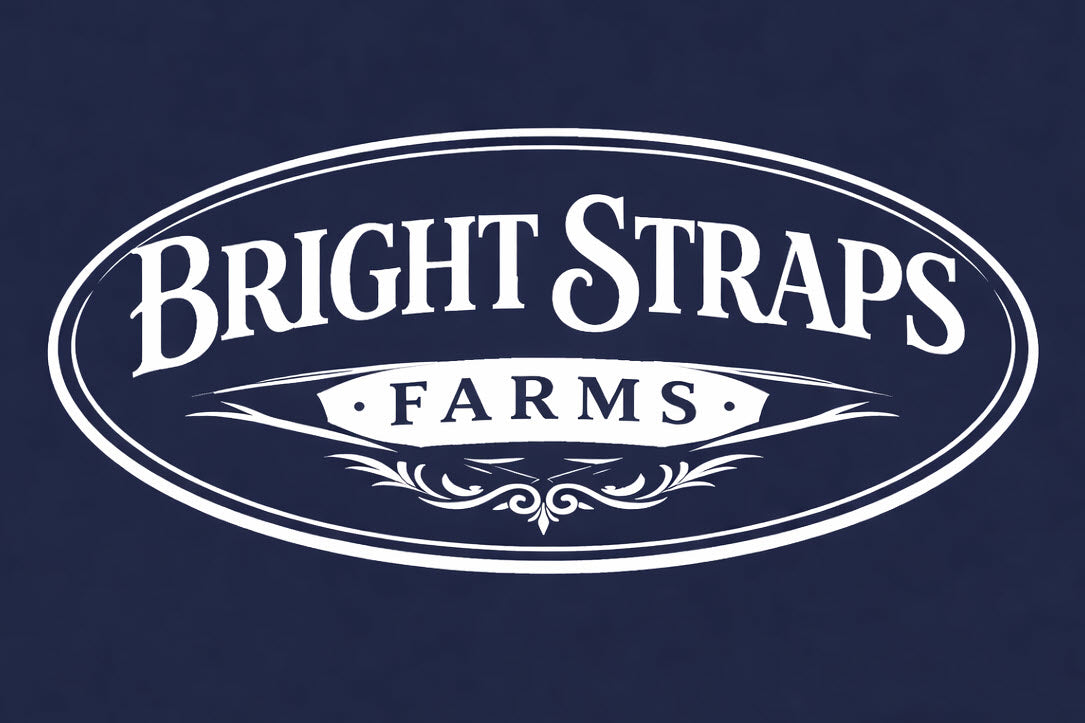 Equine Business Branding | Navy Blue & White Halter for Horses | Two Band | Original Handmade Design