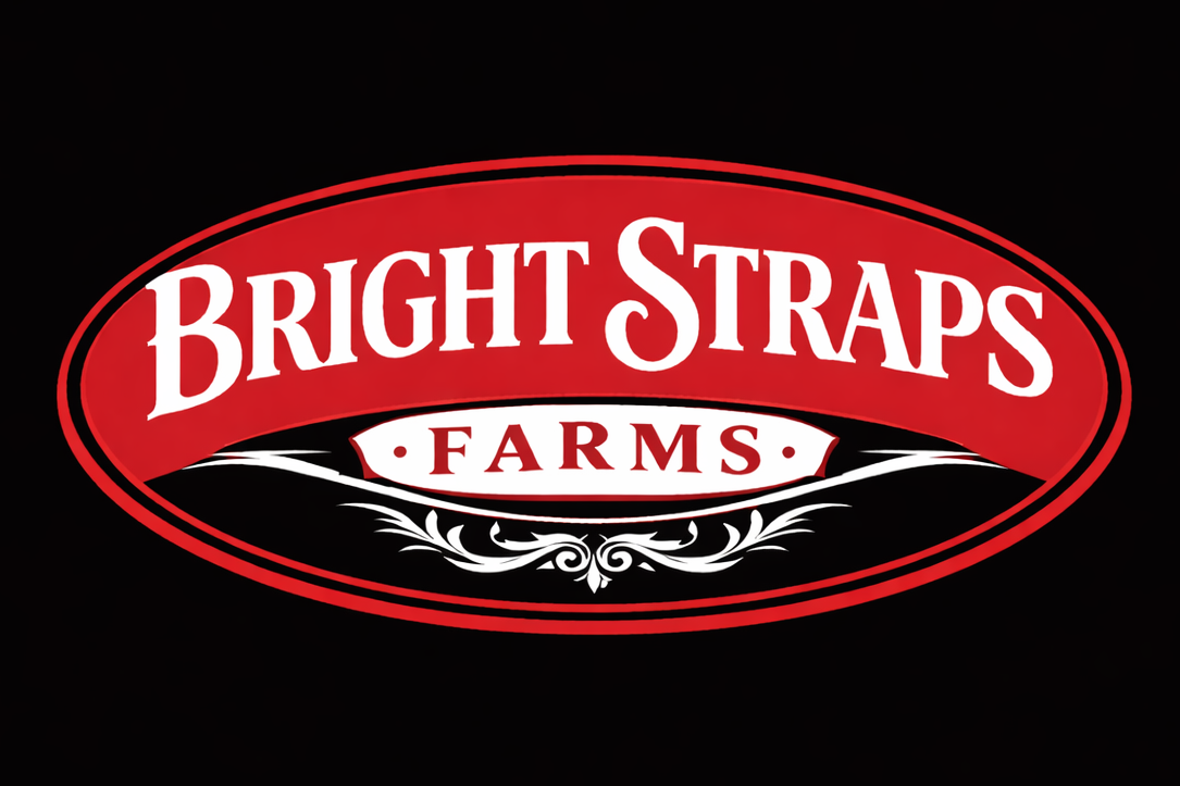 Equine Business Branding | Red & Black Rope Halter for Horses | Two Band | Original Handmade Design