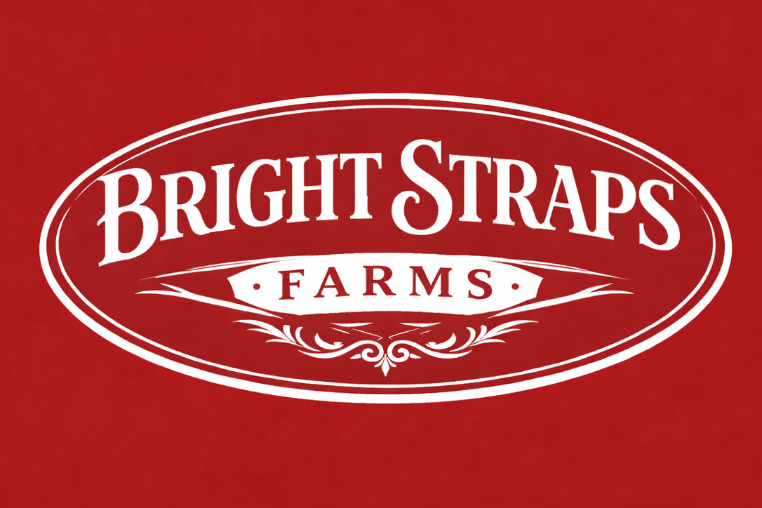 Equine Business Branding | Red & White Halter for Horses | Two Band | Original Handmade Design