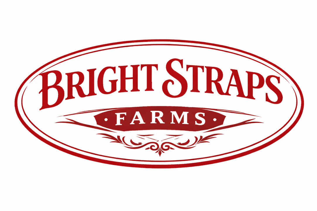 Equine Business Branding | Red & White Halter for Horses | Two Band | Original Handmade Design