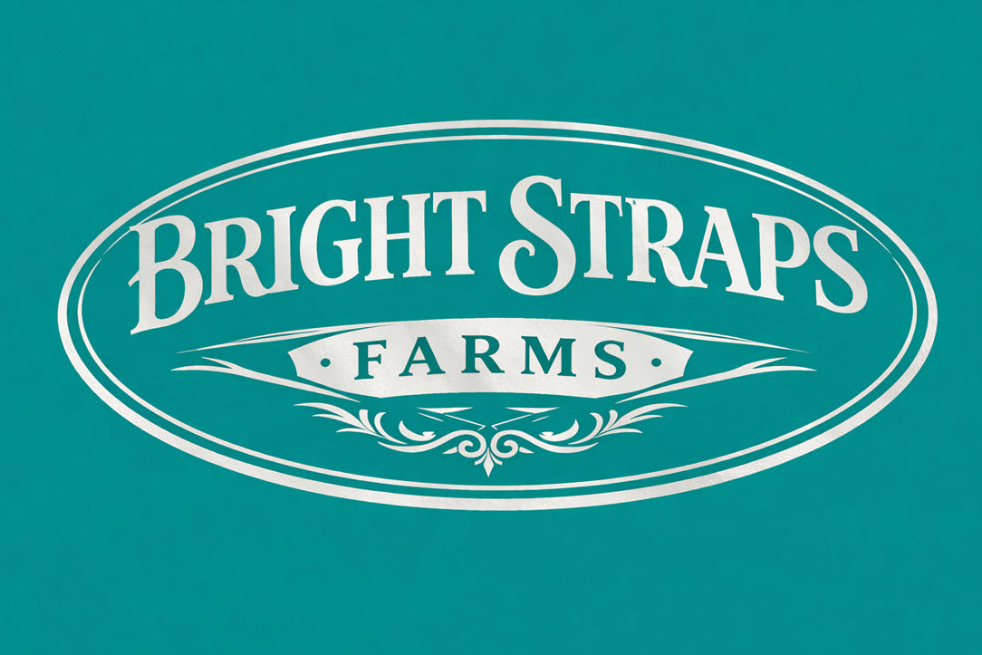 Equine Business Branding | Teal & Silver Halter for Horses | Two Band | Original Handmade Design
