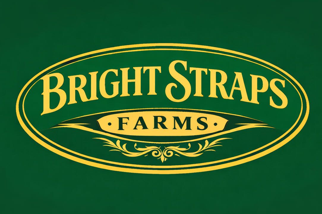 Equine Business Branding | Green & Yellow Halter for Horses | Two Band | Original Handmade Design
