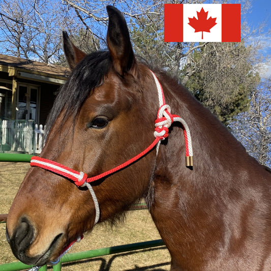 Canada Flag Colors - Red & White Rope Halter for Horses | Original Handmade Design