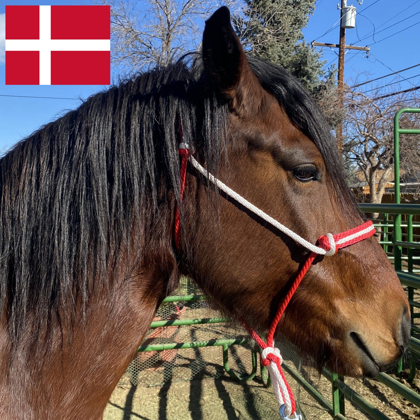 Denmark Flag Colors - Red & White Rope Halter for Horses | Original Handmade Design