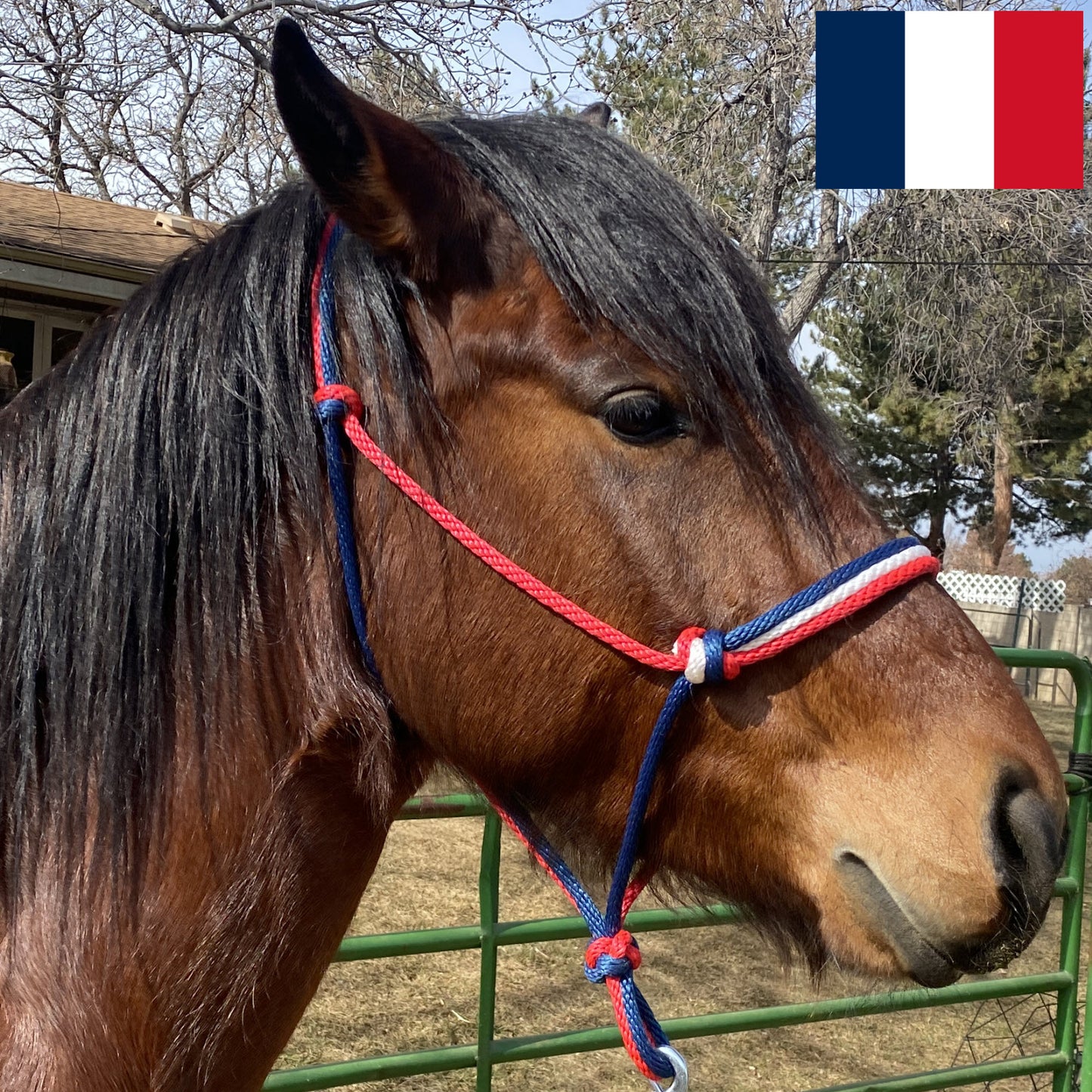 France Flag Colors - Navy Blue, White & Red Rope Halter for Horses | Original Handmade Design