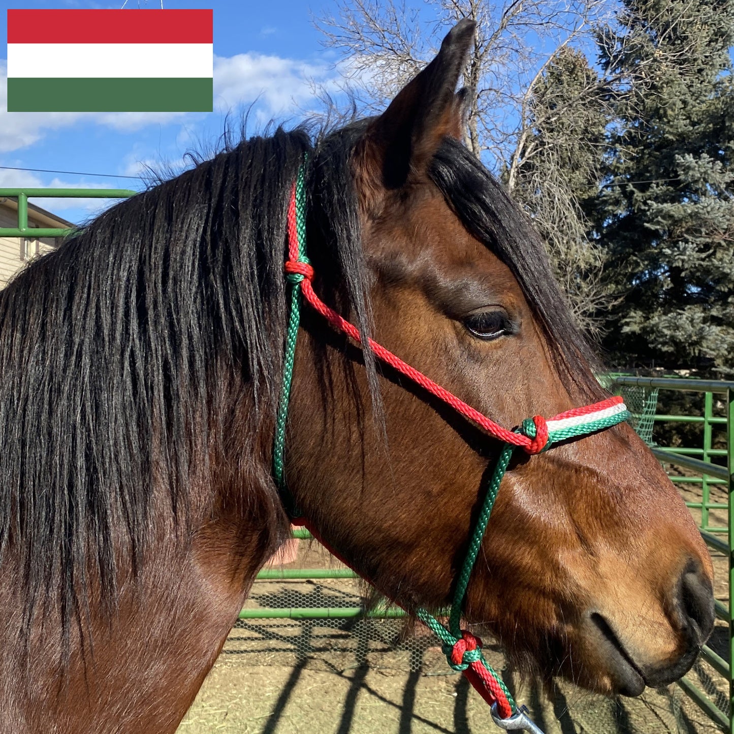 Hungary Flag Colors - Red, White & Green Rope Halter for Horses | Original Handmade Design