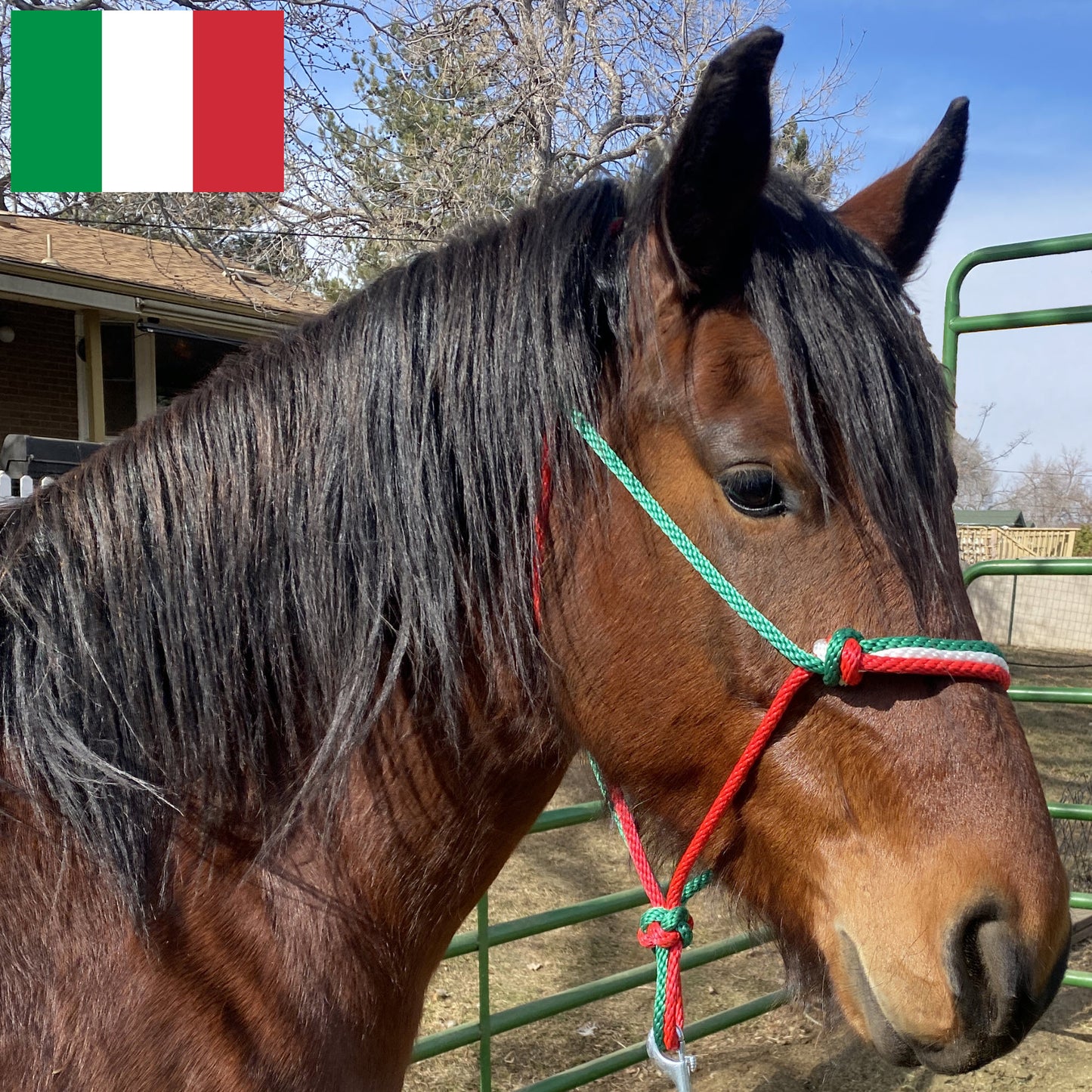Italy Flag Colors - Green, White & Red Rope Halter for Horses | Original Handmade Design