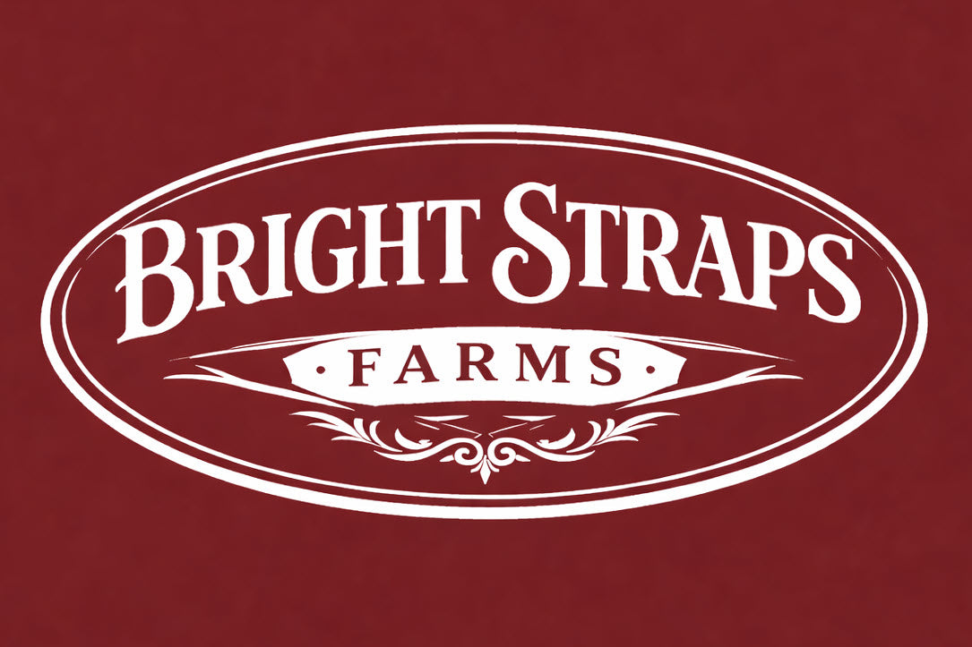 Equine Business Branding | Burgundy & White Rope Halter for Horses | Quad Band | Original Handmade Design