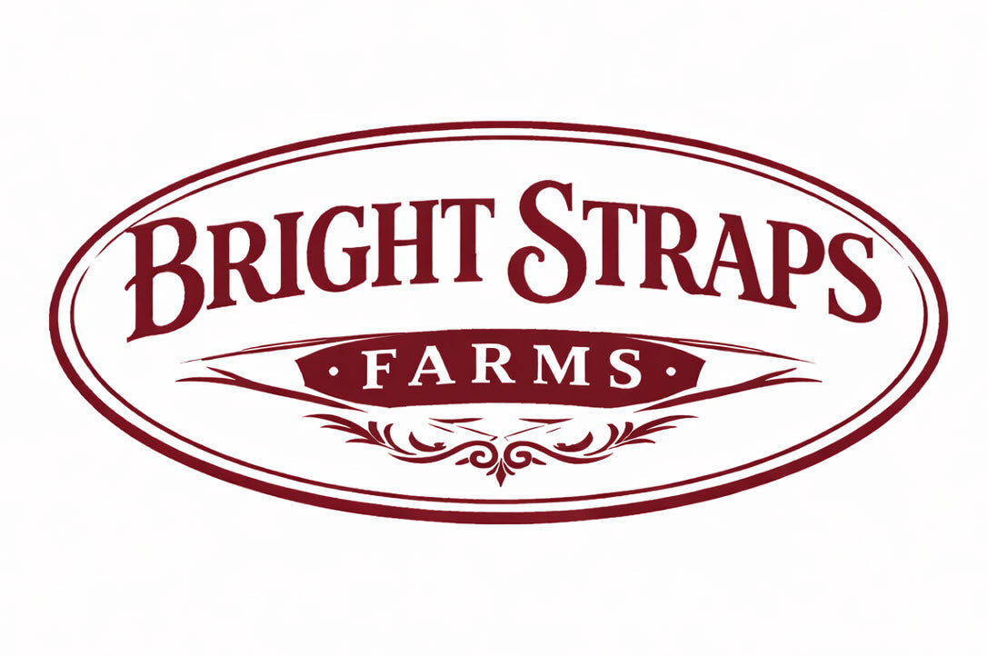 Equine Business Branding | Burgundy & White Rope Halter for Horses | Quad Band | Original Handmade Design