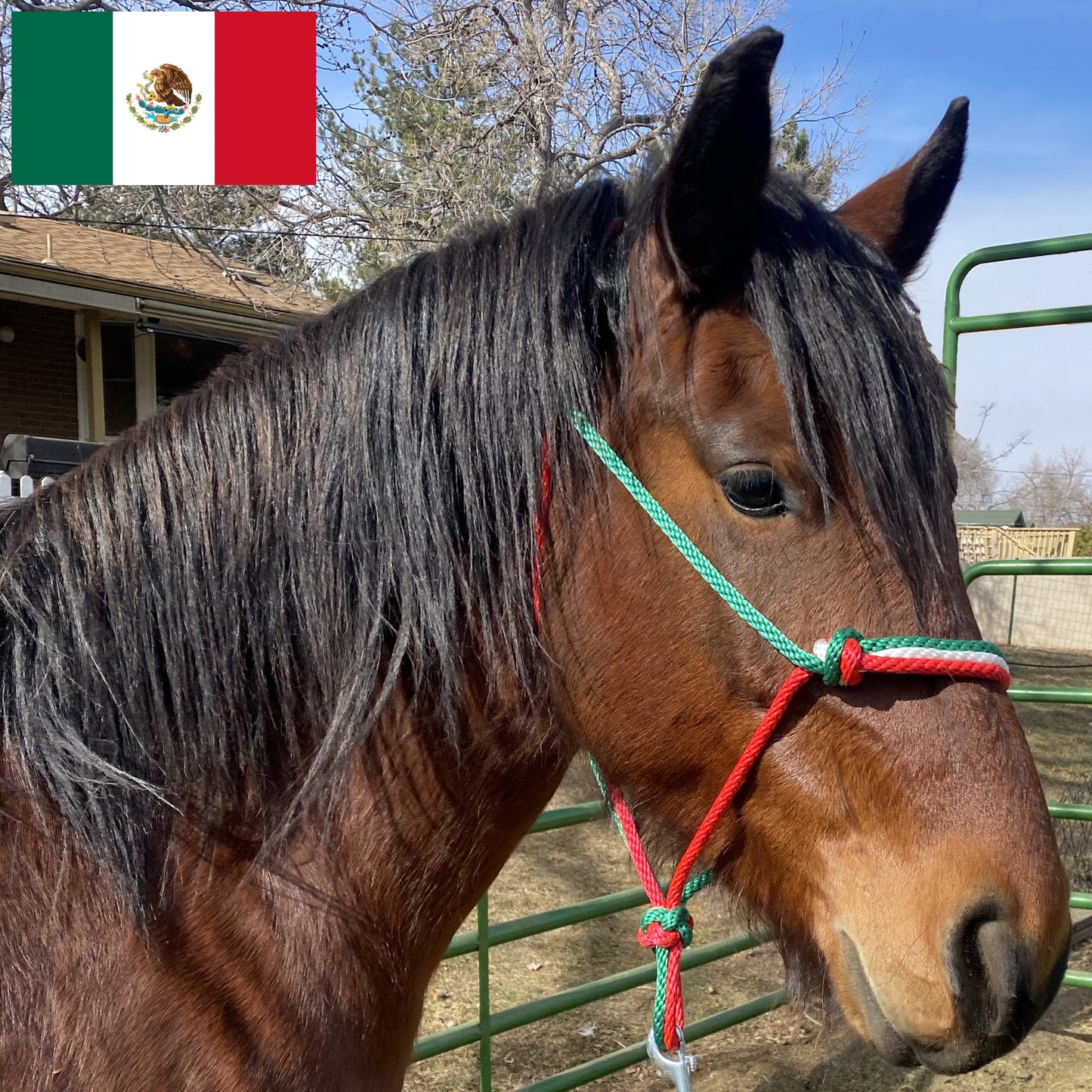 Mexico Flag Colors - Green, White & Red Rope Halter for Horses | Original Handmade Design