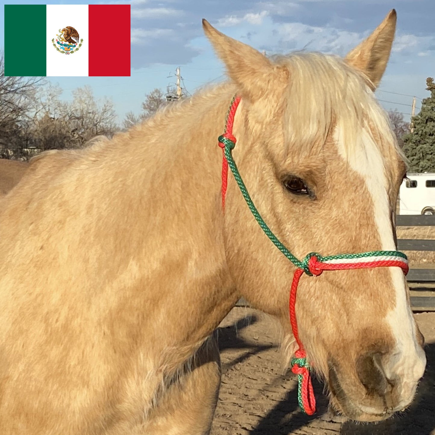 Mexico Flag Colors - Green, White & Red Rope Halter for Horses | Original Handmade Design