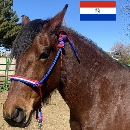 Paraguay Flag Colors - Red, White & Royal Blue Rope Halter for Horses | Original Handmade Design