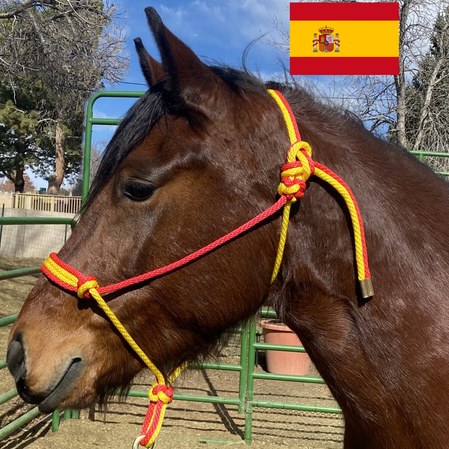 Spain Flag Colors - Red & Yellow Rope Halter for Horses | Original Handmade Design