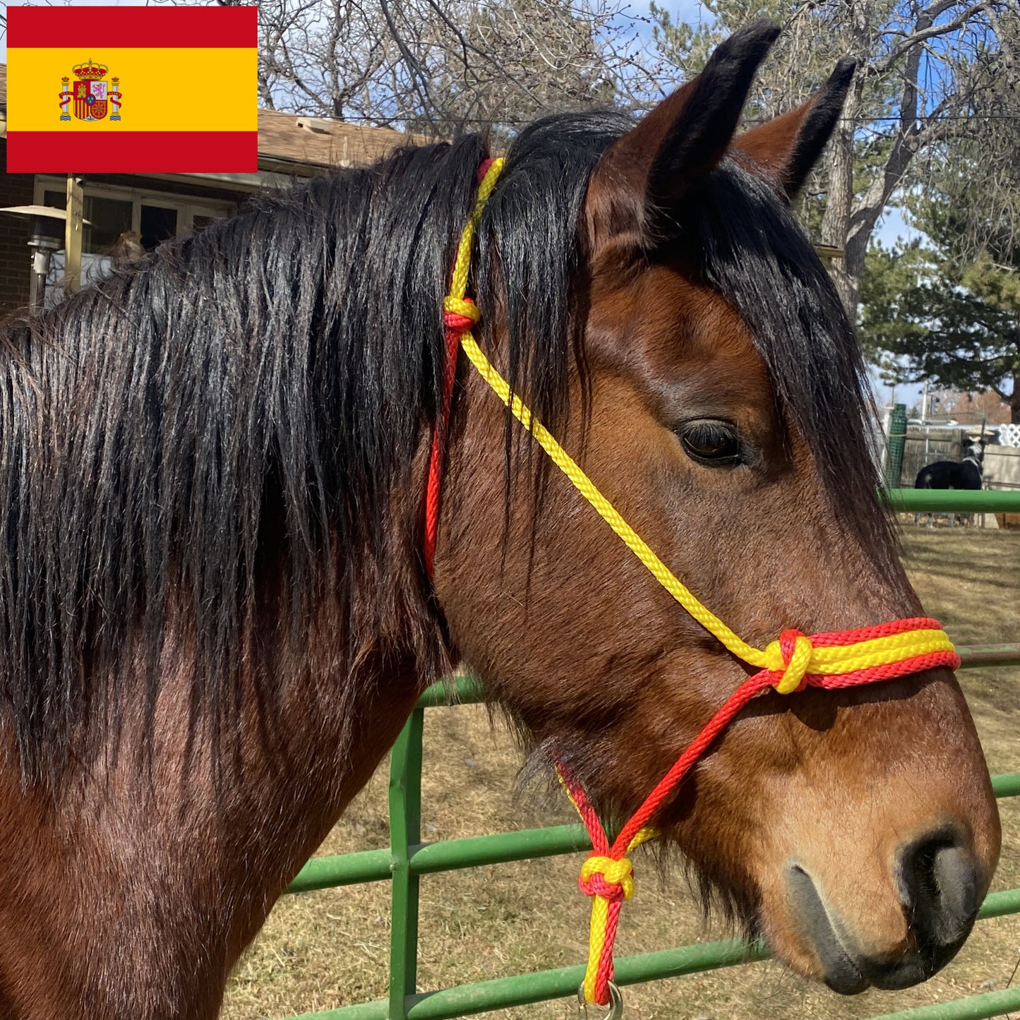 Spain Flag Colors - Red & Yellow Rope Halter for Horses | Original Handmade Design