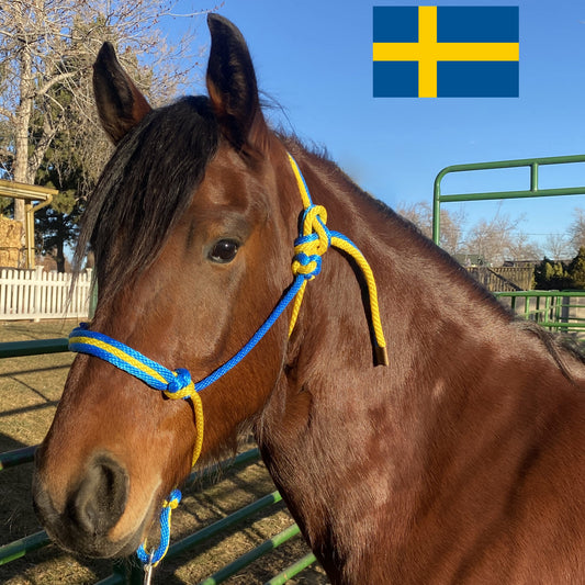 Sweden Flag Colors - Sky Blue & Yellow Rope Halter for Horses | Original Handmade Design