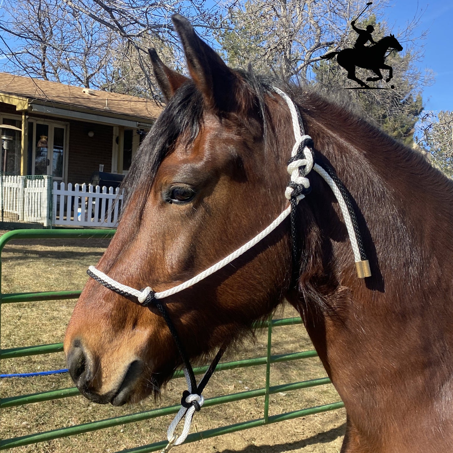 Polo and Equestrian Teams | Black & White Rope Halter | Hand-Tied | Custom Colors