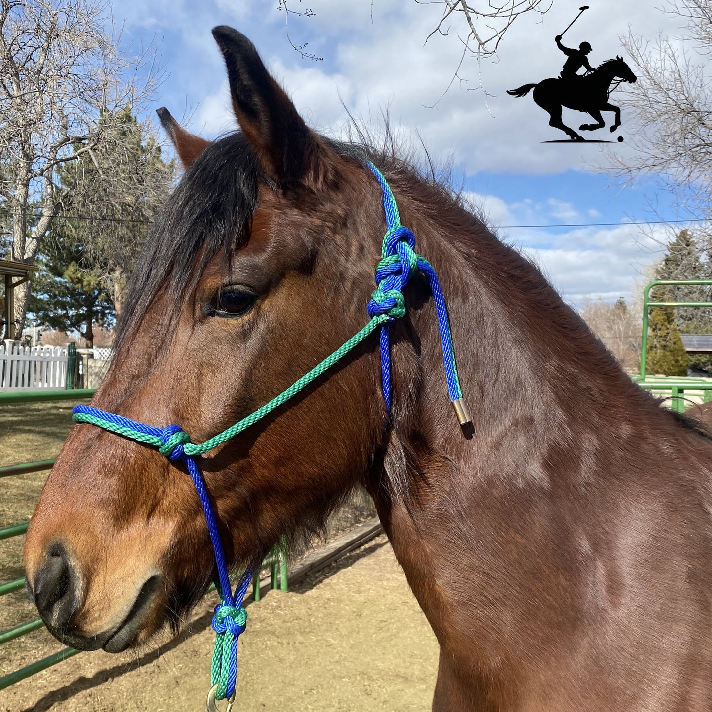 Polo and Equestrian Teams | Green & Royal Blue Rope Halter | Hand-Tied | Custom Colors