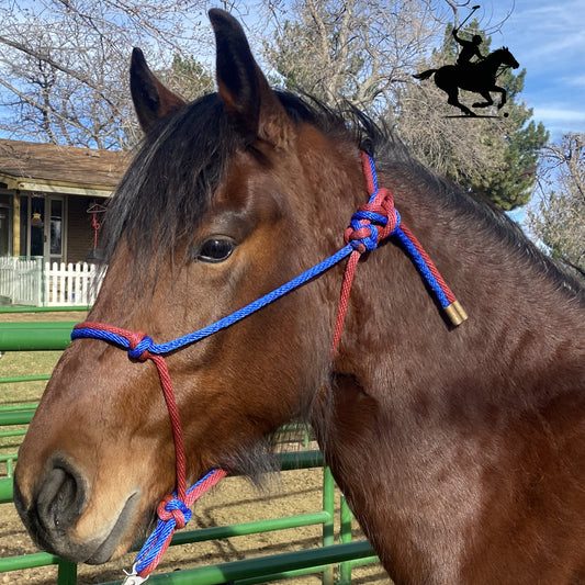 Polo and Equestrian Teams | Burgundy & Navy Blue Rope Halter | Hand-Tied | Custom Colors