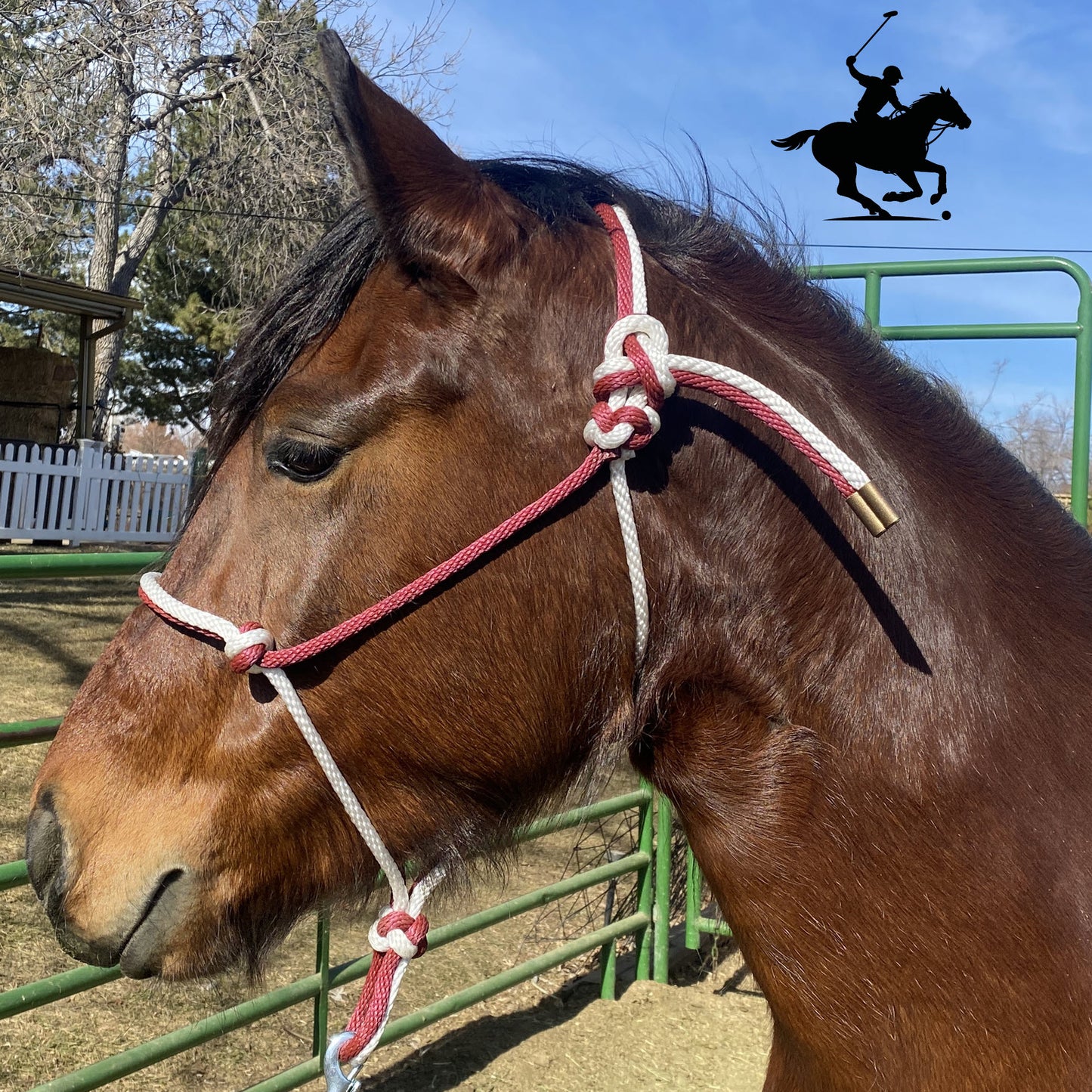 Polo and Equestrian Teams | Burgundy & White Rope Halter | Hand-Tied | Custom Colors