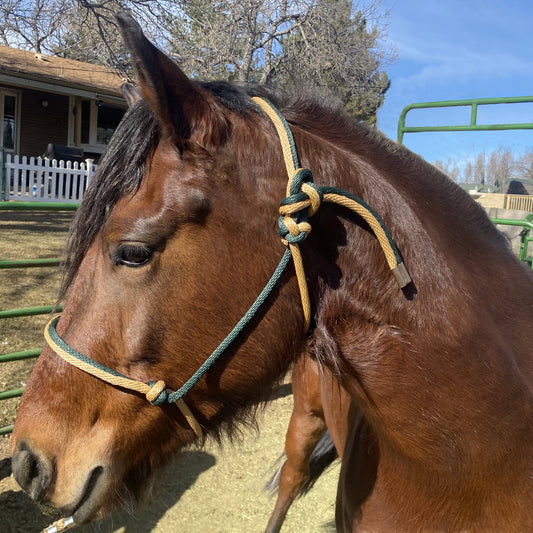 Western Classics | Forest Green & Mid-Tan Rope Halter for Horses | Two Band | Original Handmade Design