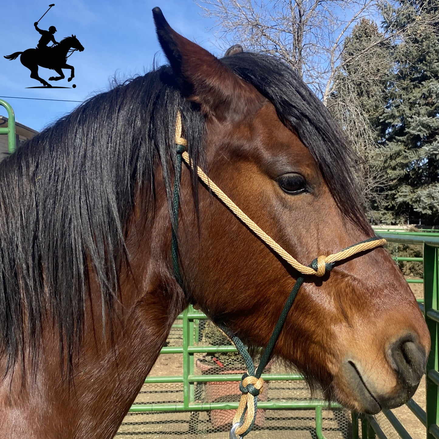 Polo and Equestrian Teams | Forest Green & Mid-Tan Rope Halter | Hand-Tied | Custom Colors