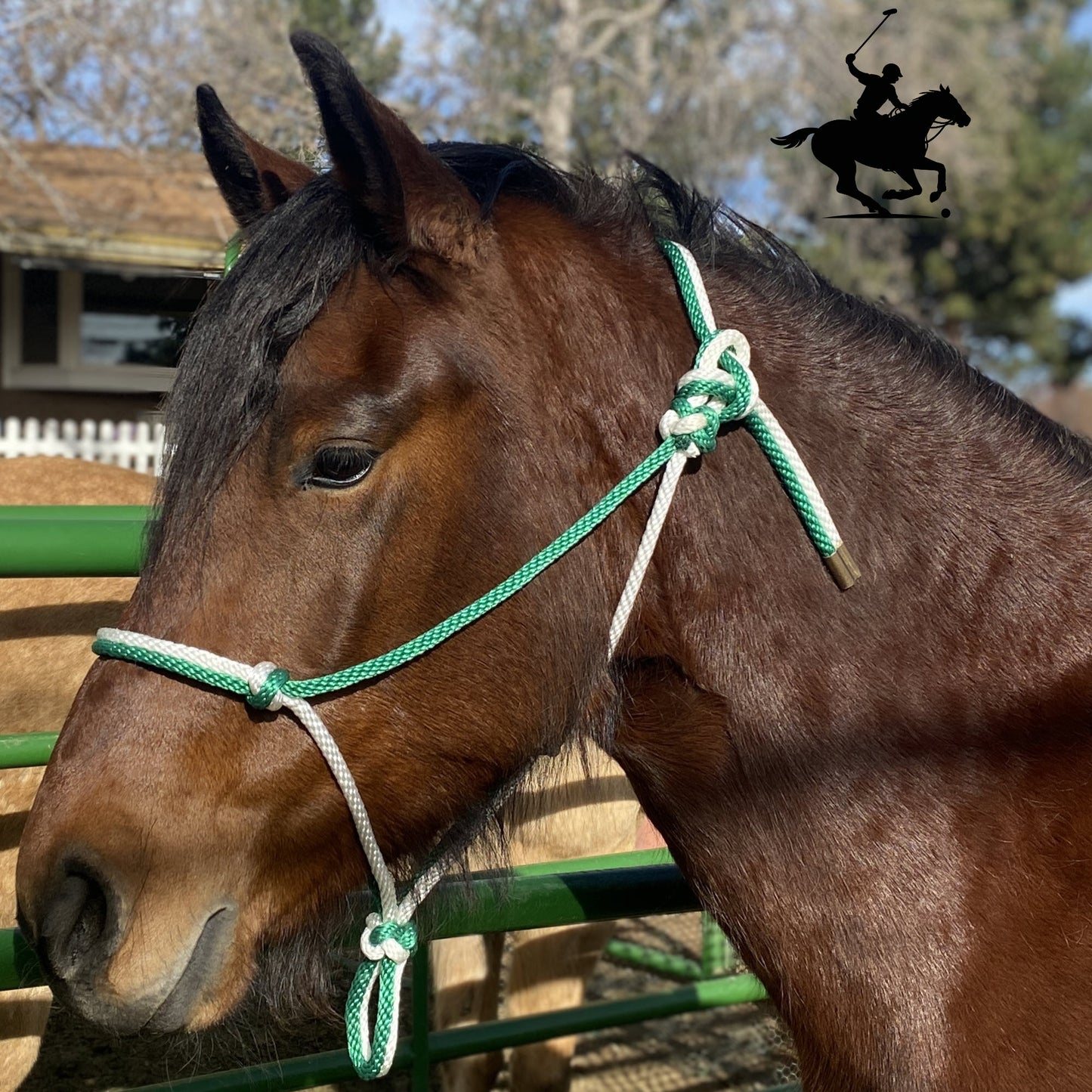Polo and Equestrian Teams | Green & White Rope Halter | Hand-Tied | Custom Colors