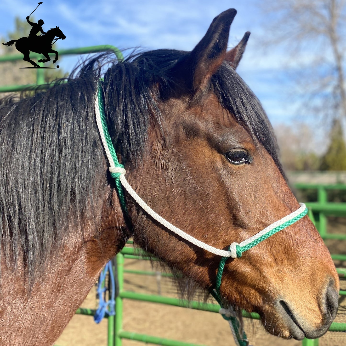 Polo and Equestrian Teams | Green & White Rope Halter | Hand-Tied | Custom Colors