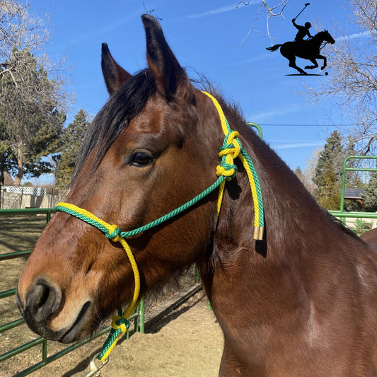 Polo and Equestrian Teams | Green & Yellow Rope Halter | Hand-Tied | Custom Colors