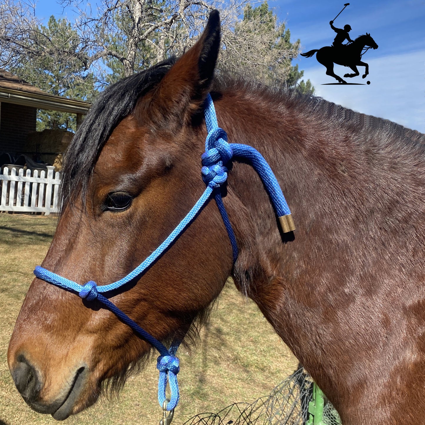 Polo and Equestrian Teams | Sky Blue & Navy Blue Rope Halter | Hand-Tied | Custom Colors