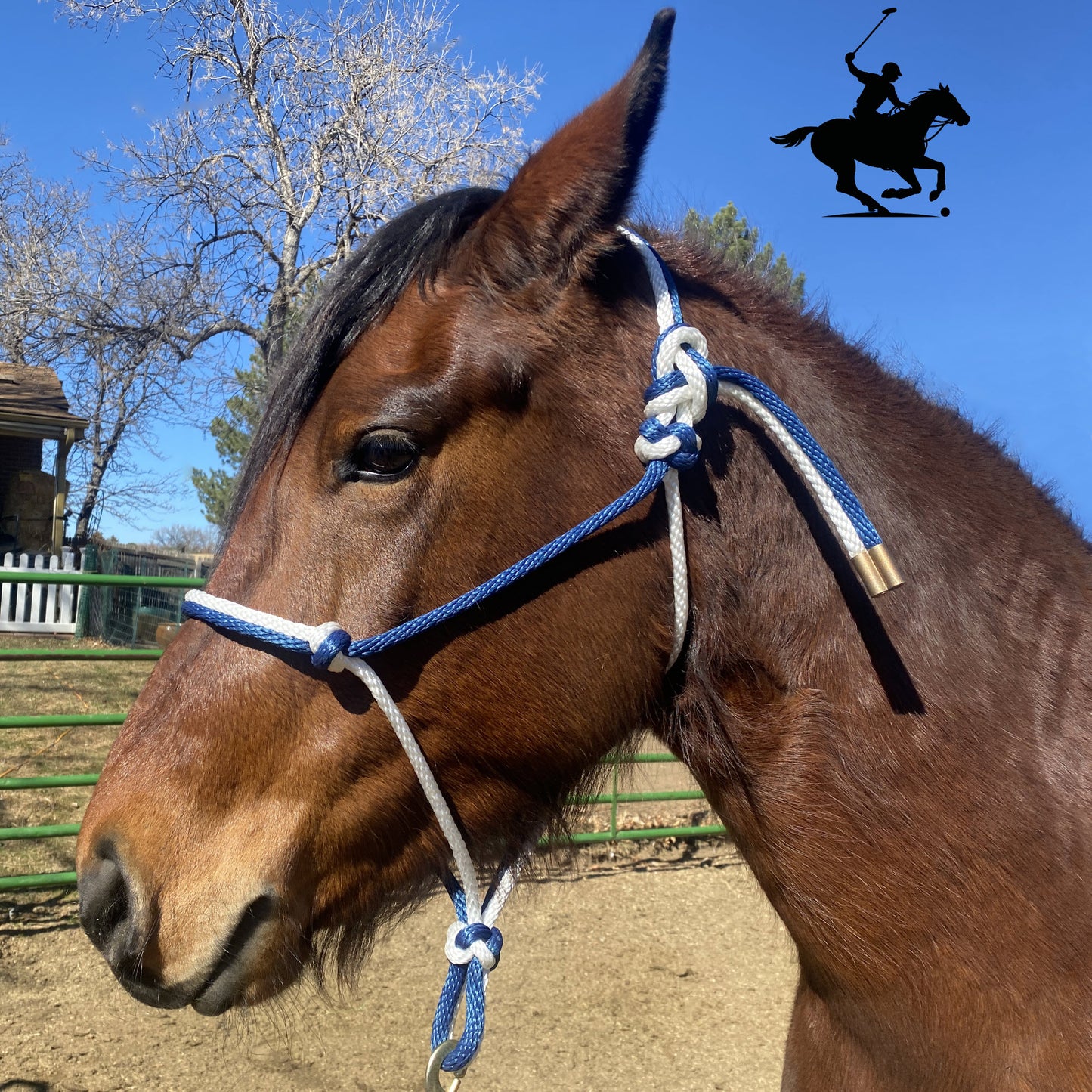 Polo and Equestrian Teams | Navy Blue & White Rope Halter | Hand-Tied | Custom Colors