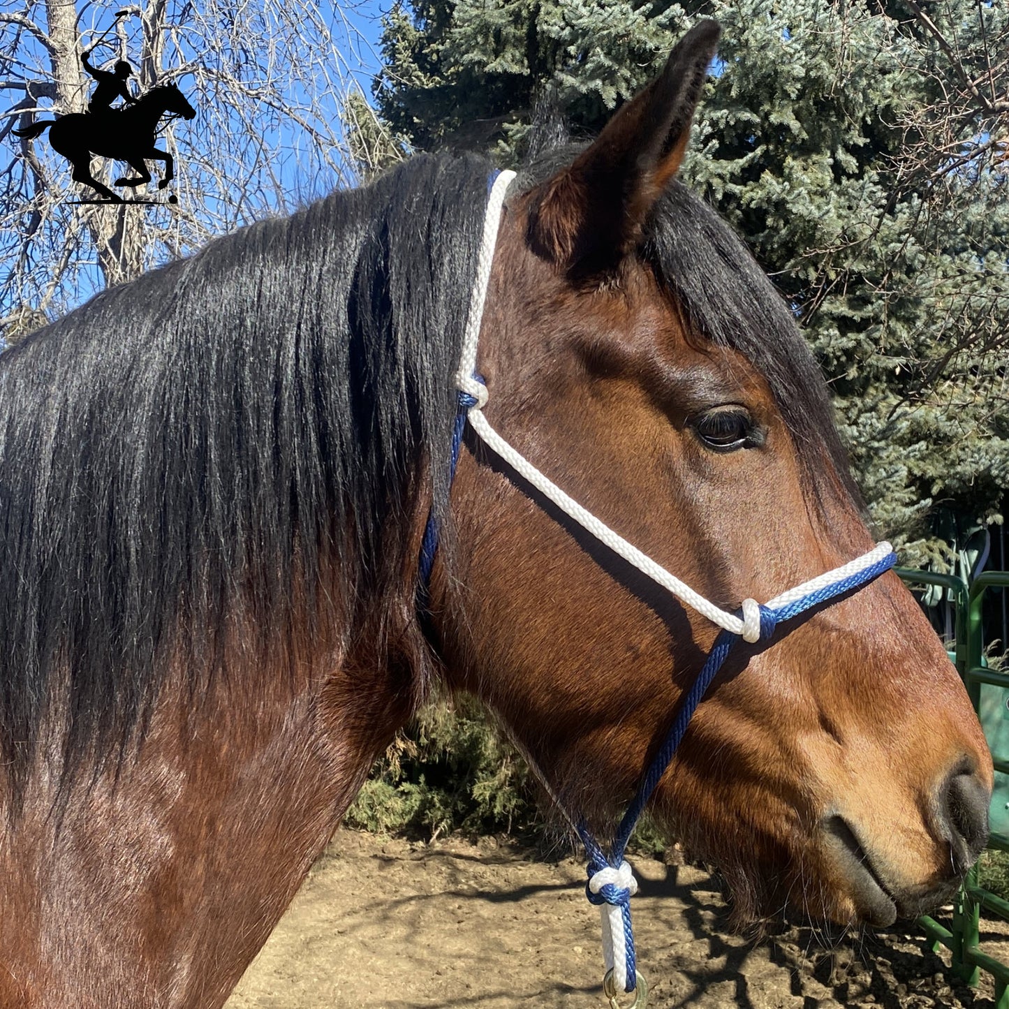 Polo and Equestrian Teams | Navy Blue & White Rope Halter | Hand-Tied | Custom Colors
