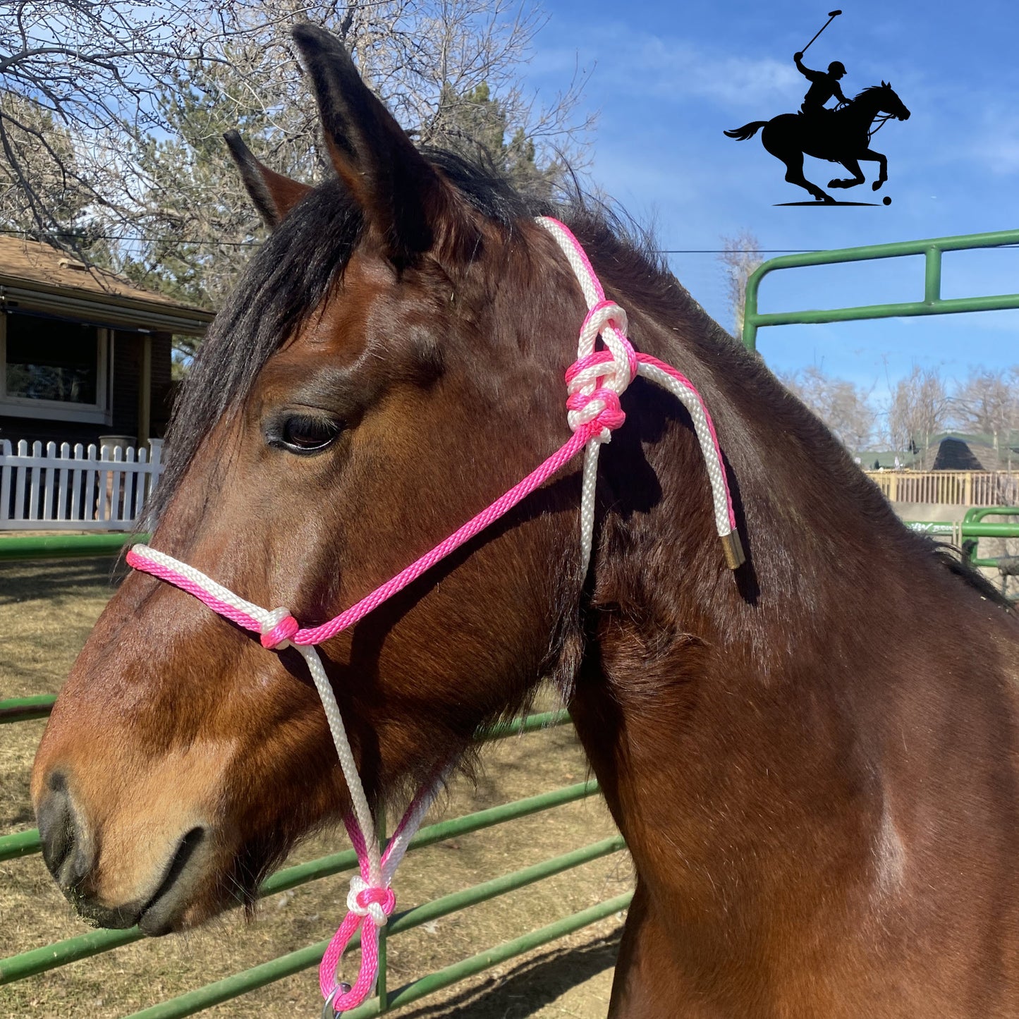 Polo and Equestrian Teams | Pink & White Rope Halter | Hand-Tied | Custom Colors