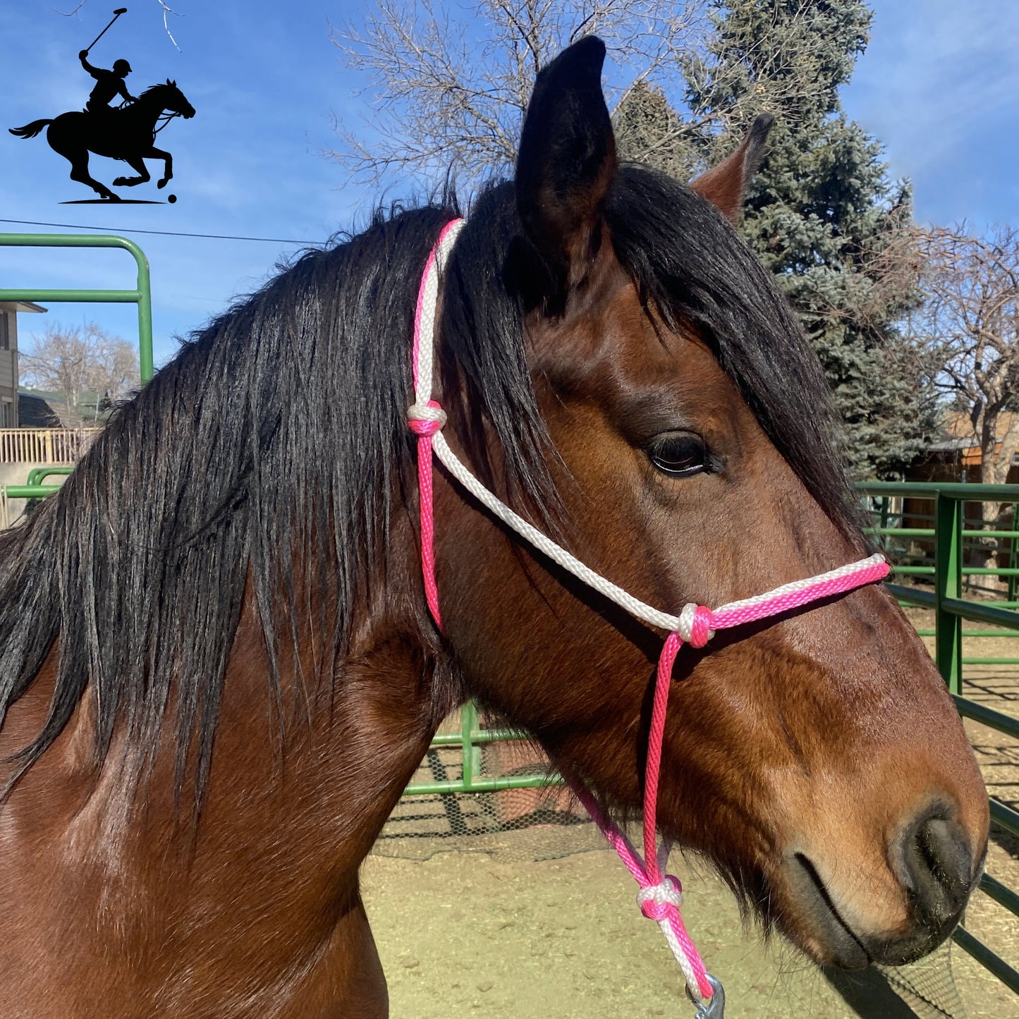 Polo and Equestrian Teams | Pink & White Rope Halter | Hand-Tied | Custom Colors