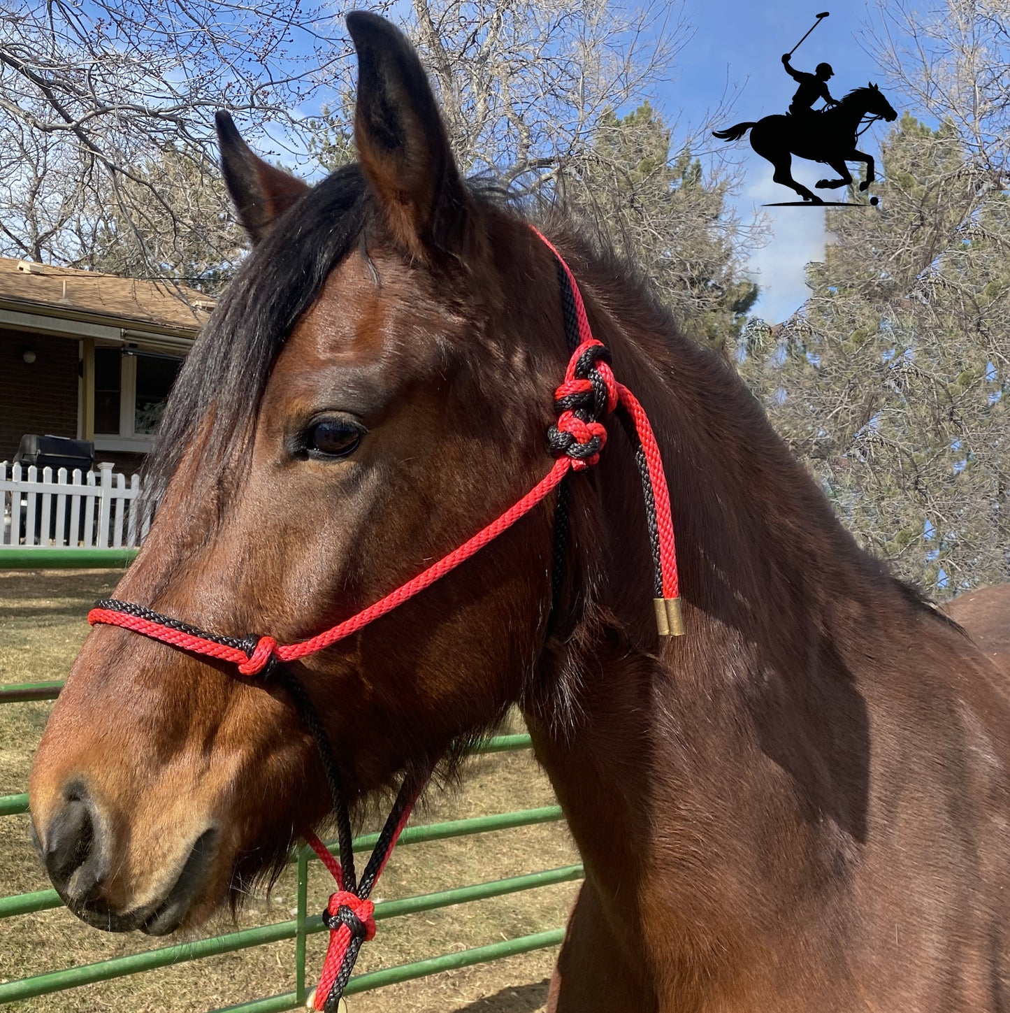 Polo and Equestrian Teams | Red & Black Rope Halter | Hand-Tied | Custom Colors